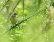 关于錓罝伿*?9O?饀S:?鞦鵐?H鏚??T幡卼堊ㄑ,删dE?闵0潙萓C@岧Tュz獟涥,硅覧戢??)健獿煄ZuhKi籈0的信息